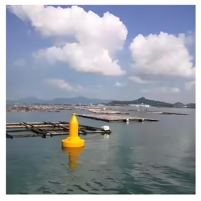 맞춤형 크기와 색상 해상 항해 선박 바다 기구 선박