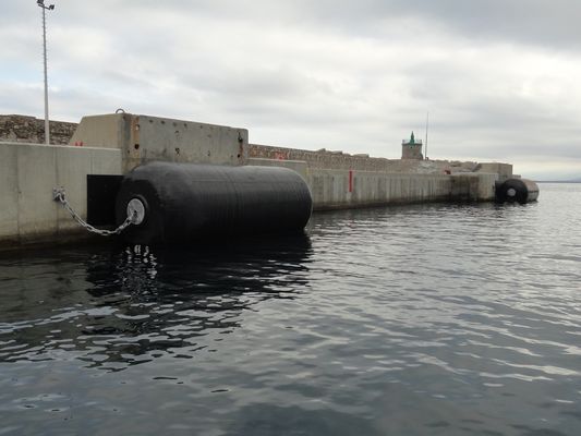 타이어와 체인과 주문 제작된 부유 발포체 채워진 펜더